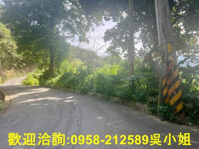 北埔山坡地-4
