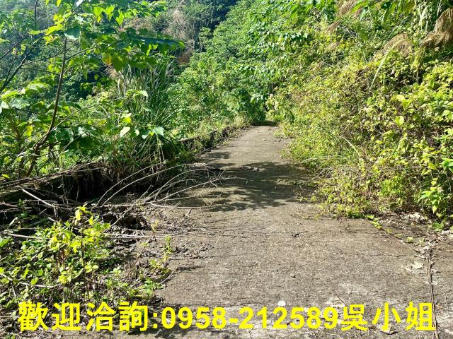 北埔山坡地-6