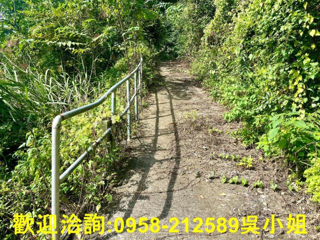 北埔山坡地-7