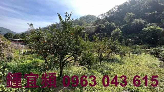 芎林農地-12