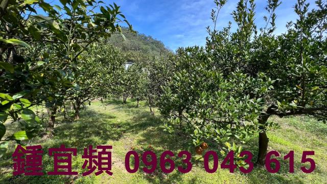 芎林農地-15