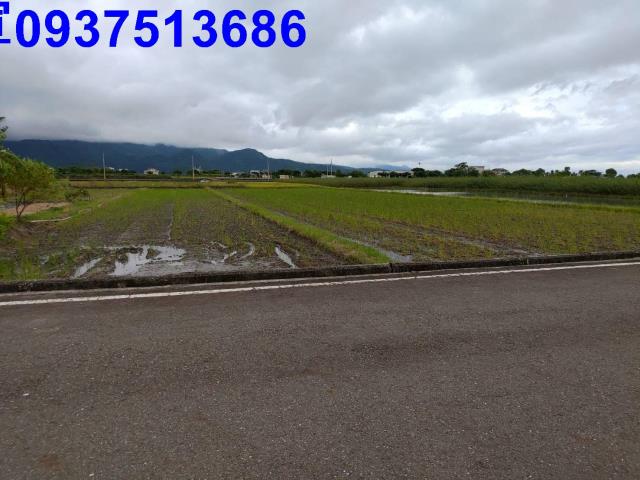 宜蘭三星農地-15