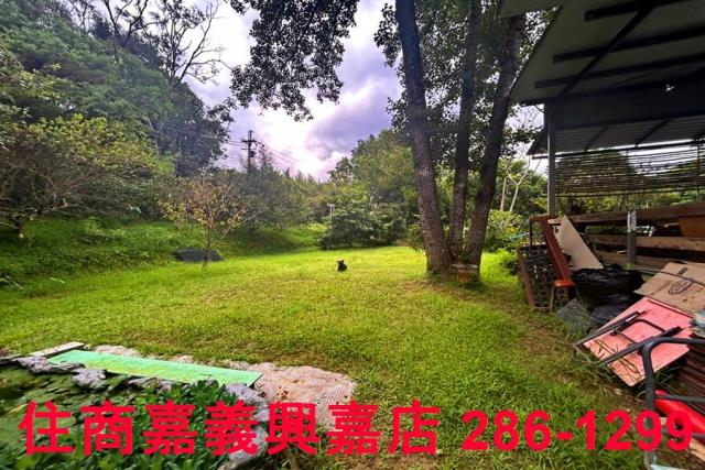 新竹竹東農地-5