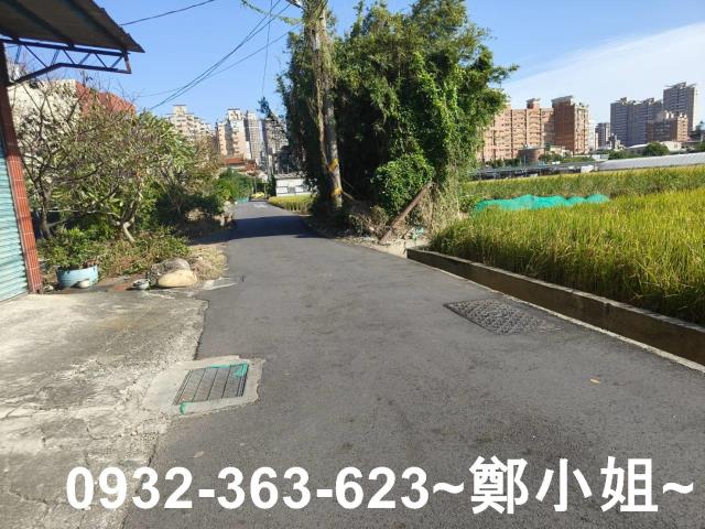 桃園桃園區農地-11