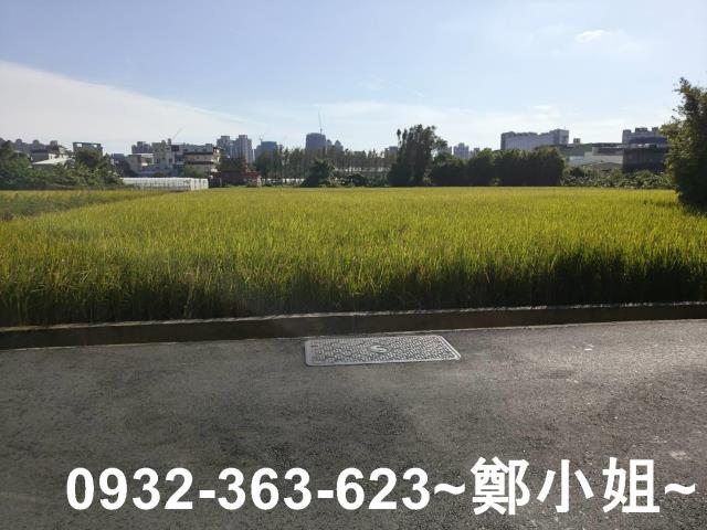 桃園桃園區農地-5