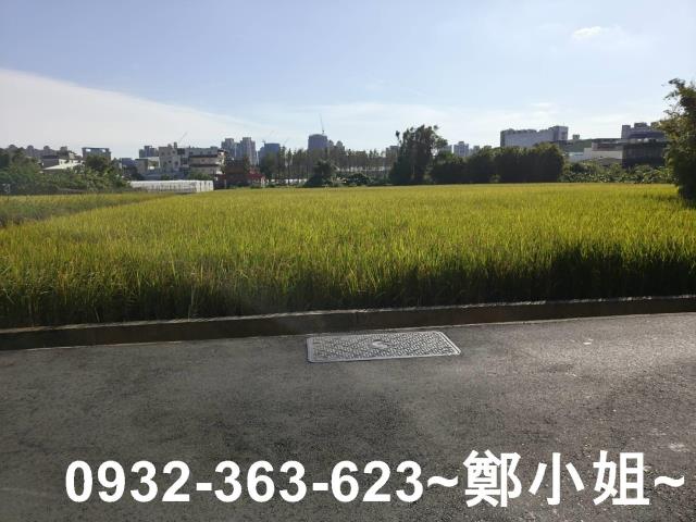 桃園桃園區農地-6