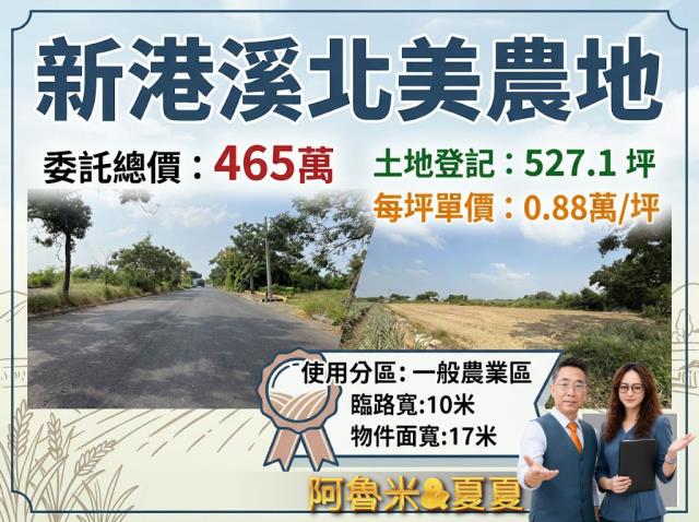 嘉義新港農地-1
