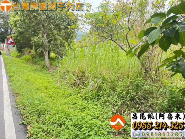 嘉義農地-4