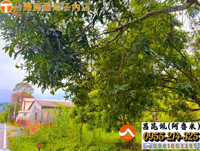 嘉義農地-5