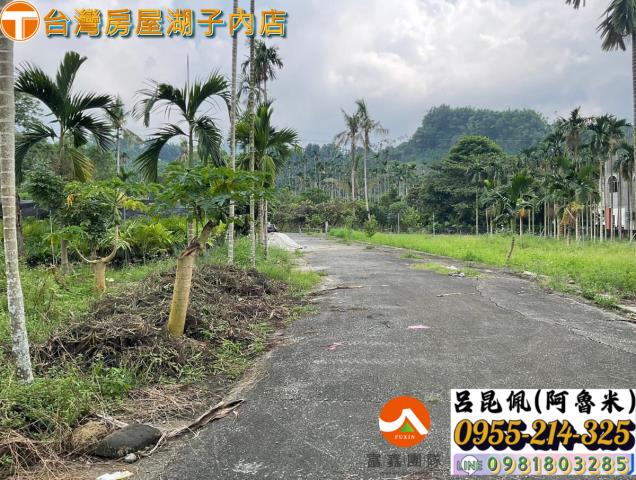 嘉義農地-4
