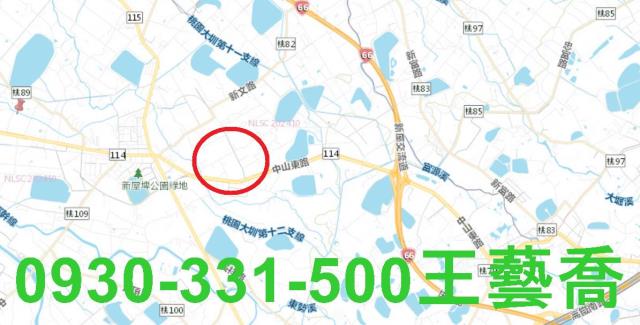 桃園新屋農地-6