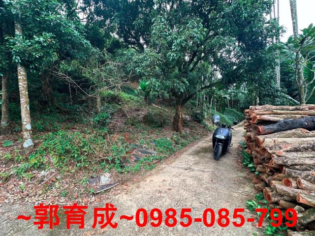 竹崎農地-10