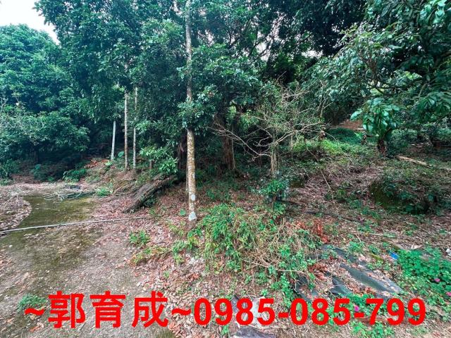 竹崎農地-11