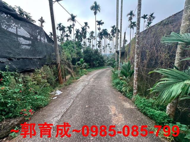 竹崎農地-3