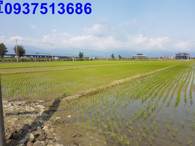 壯圍農地-3
