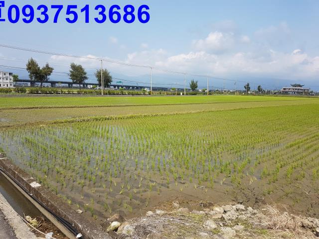 壯圍農地-6