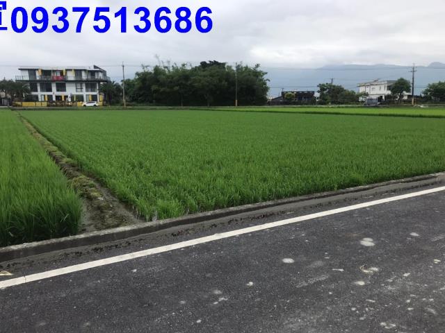 壯圍農地-1