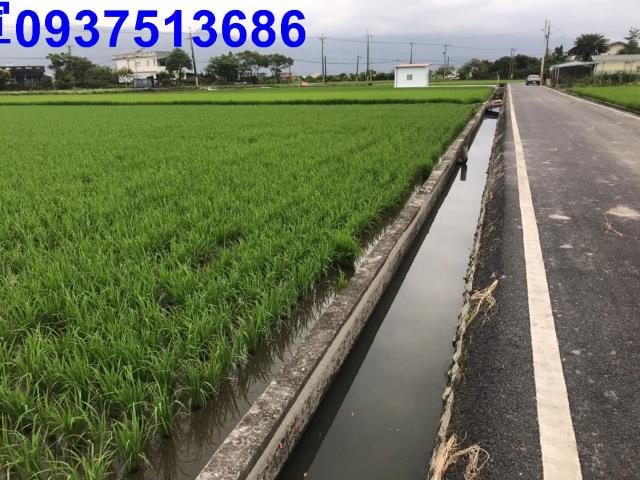 壯圍農地-6