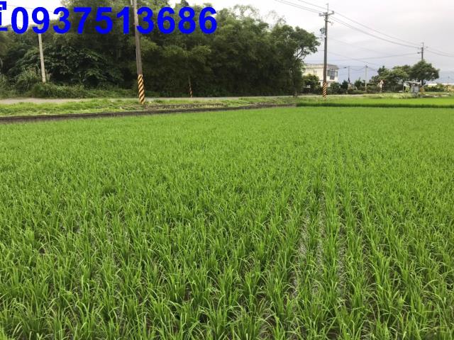壯圍農地-9