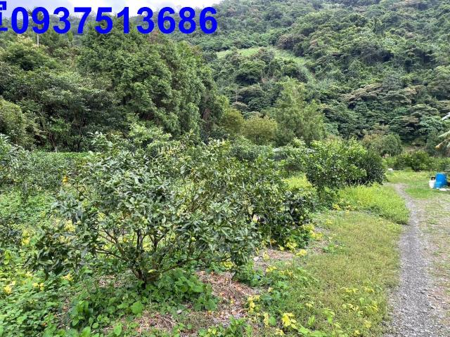 宜蘭農地-7