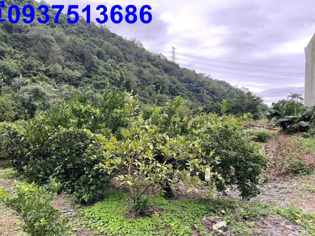 宜蘭農地-3