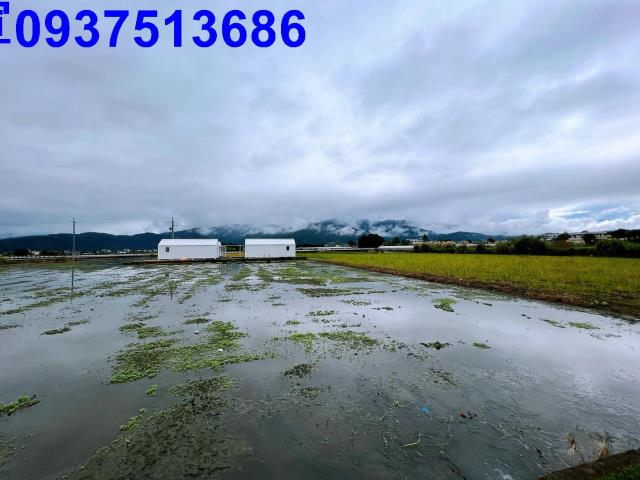 宜蘭三星農地-4