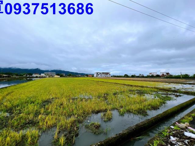 宜蘭三星農地-1