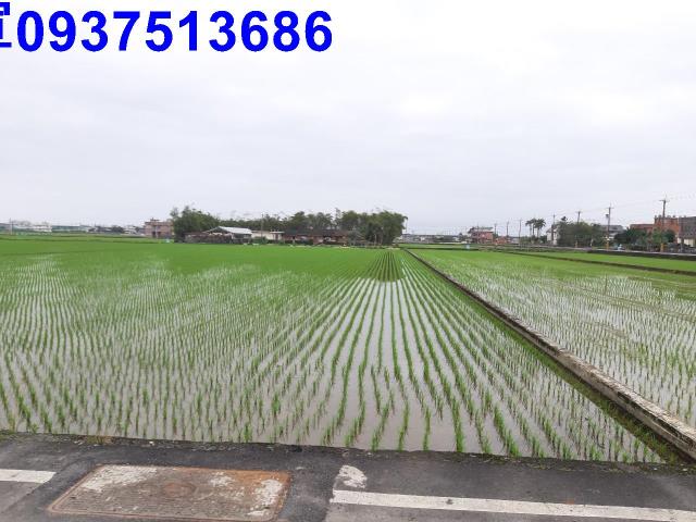 宜蘭礁溪農地-1