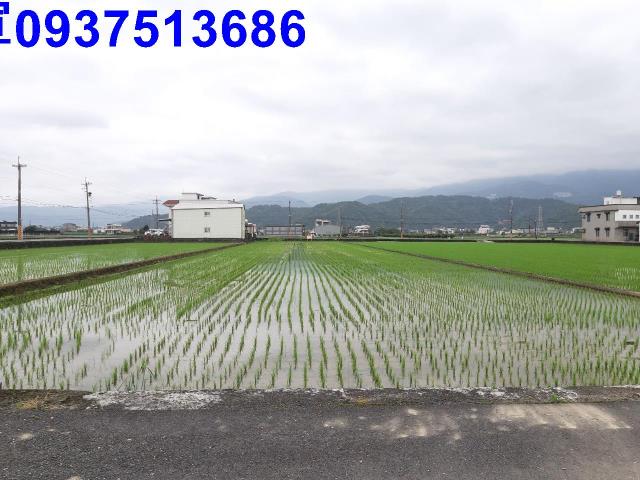 宜蘭礁溪農地-9