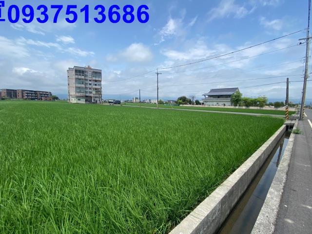 宜蘭壯圍農地-2