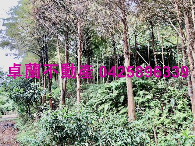 苗栗卓蘭農地-5
