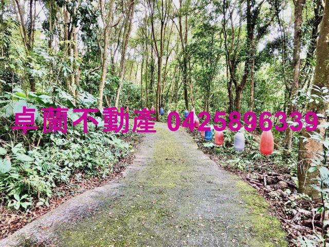 苗栗卓蘭農地-6