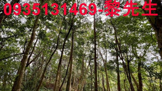 新竹橫山農地-12
