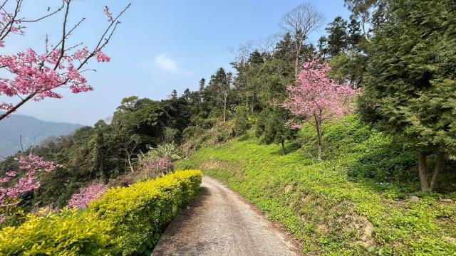 北埔農地-15