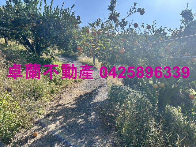 卓蘭農地-2