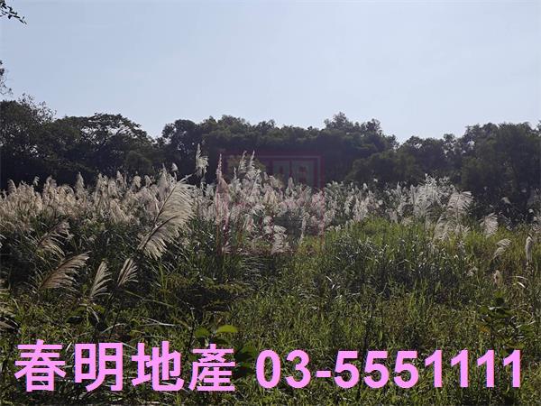 湖口農地-5