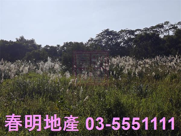 湖口農地-6