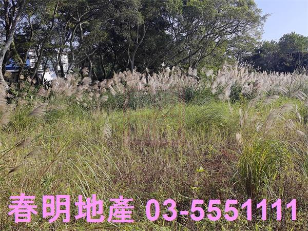 湖口農地-8