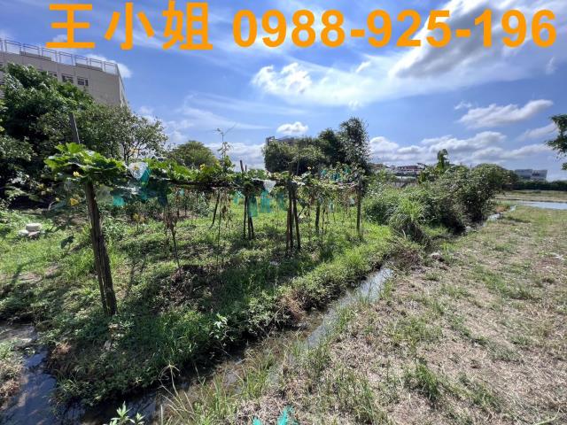桃園區農地-2