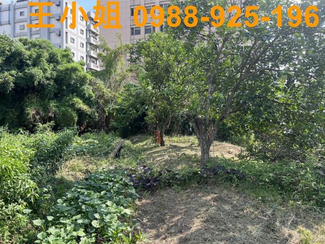 桃園區農地-8