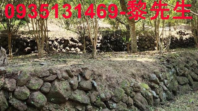 新竹北埔農地-3