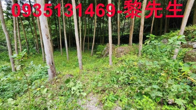 新竹北埔農地-10
