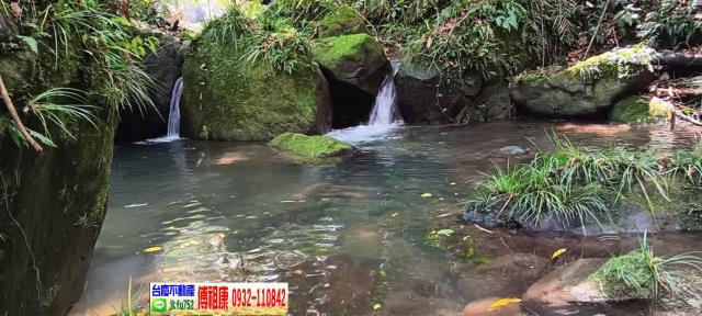 新竹北埔農地-11