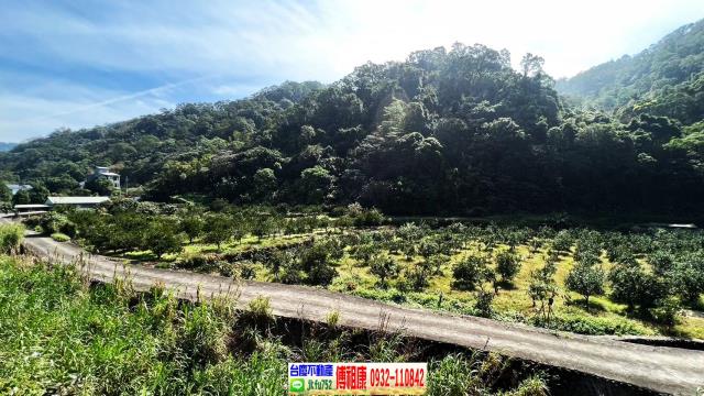 新竹芎林農地-15