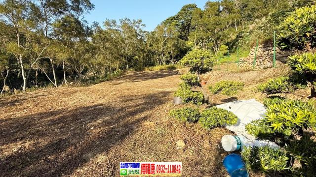 新竹竹東農地-2