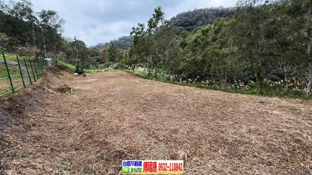 新竹竹東農地-7