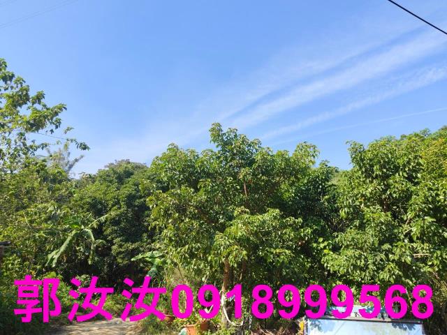 台南白河農地-8