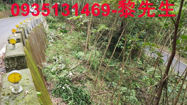 橫山農地-11