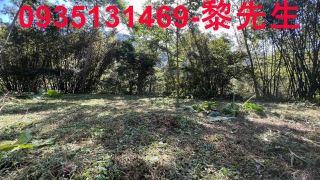 橫山農地-12