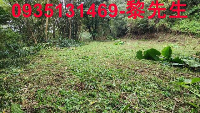 橫山農地-14